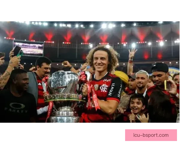 加布里埃尔双响助力球队夺得解放者杯冠军精彩瞬间回顾